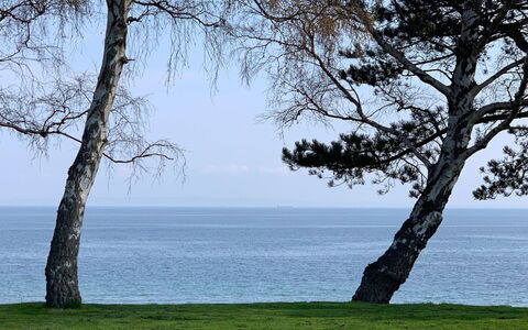 Vanta - 10M from the Sea: Tag, Land Lot, Sommerhus, Hjem, Landdistrikt, Skur, Sidespor, Garden Bygninger, Bjælkehytte, Hytte