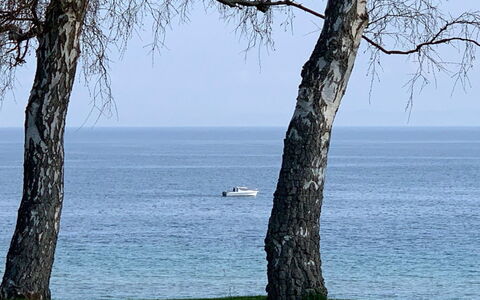 Vanta - 10M from the Sea: Tag, Land Lot, Sommerhus, Hjem, Landdistrikt, Skur, Sidespor, Garden Bygninger, Bjælkehytte, Hytte