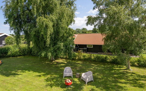 Niska - 300M from the Sea: Græs, Busk, Hus, Land Lot, Sommerhus, Have, Lawn, Skygge