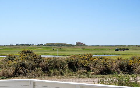 Gerharde - 2.3Km from the Sea: Himmel, Grøn, Græs, Græs-, Almindeligt, Økoregion, Land Lot, Steppe, Prærie