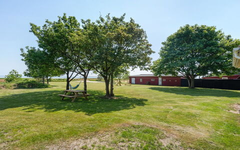 Edelgard - 4.5Km from the Sea: Himmel, Træ, Græs, Almindeligt, Land Lot, Lawn, Skygge, Have, Eng, Parkere