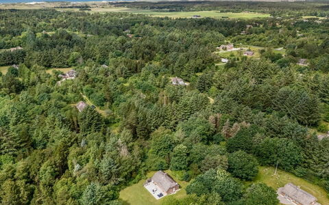 Alkil - 1.7Km from the Sea: Græs, Busk, Hus, Have, Hjem, Sommerhus, Land Lot, Lawn, Bunddække