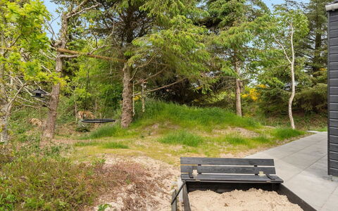Antonina - 800M from the Sea: Træ, Vegetationen, Busk, Plantesamfund, Land Lot, Bunddække, Skov, Have, Sti