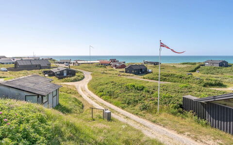 Heidine - 176M from the Sea: Plantesamfund, Sollys, Urteagtig Plante, Have, Plantation, Landbrug, Farm