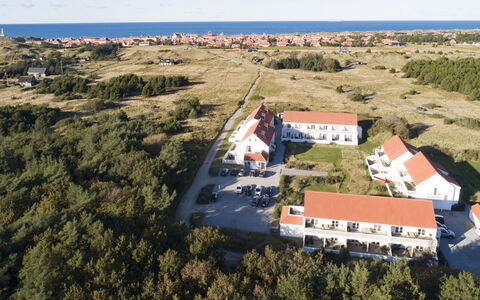 Thorgrim - 800M from the Sea: Plantesamfund, Sollys, Urteagtig Plante, Have, Plantation, Landbrug, Farm