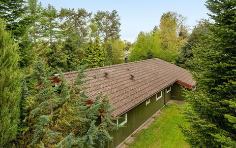 Loreia - 200M from the Sea: Bygning, Hus, Træ, Hjem, Tag, Sommerhus, Boligområde, Busk, Arkitektur