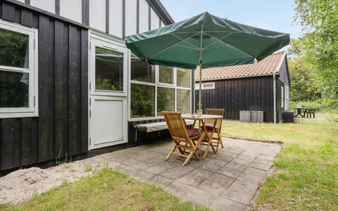 Robert - 250M from the Sea: Plantesamfund, Sollys, Urteagtig Plante, Have, Plantation, Landbrug, Farm