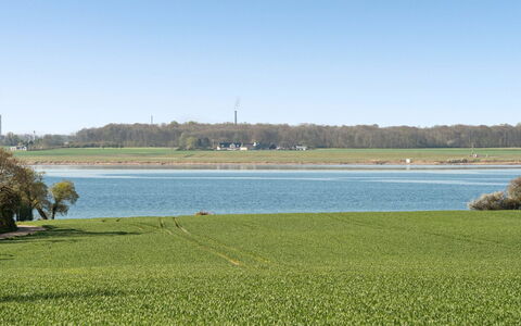 Ermelinda - 900M to the Fjord: Tag, Hus, Hjem, Sommerhus, Sidespor, Estate, Indkørsel, Garden Bygninger, Gård, Skur