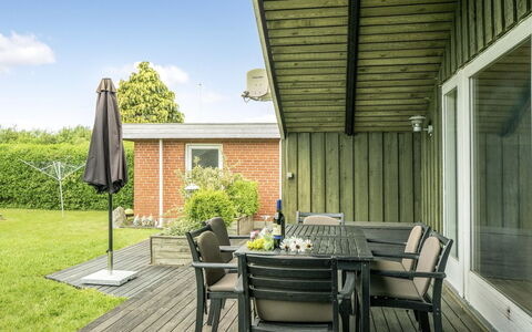Simonia - 600M from the Sea: Plantesamfund, Sollys, Urteagtig Plante, Have, Plantation, Landbrug, Farm
