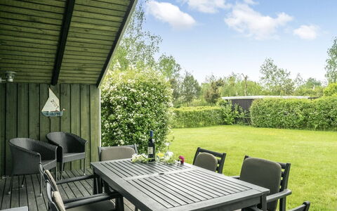 Simonia - 600M from the Sea: Plantesamfund, Sollys, Urteagtig Plante, Have, Plantation, Landbrug, Farm