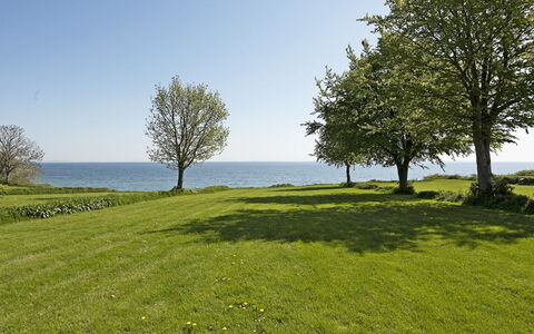 Helena - 250M from the Sea: Blå, Grøn, Græs, Græs-, Naturlige Landskab, Horisont, Økoregion, Landskab, Almindeligt, Land Lot