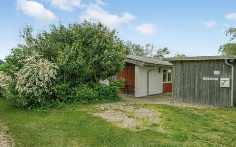 Thorwer - 250M from the Sea: Plantesamfund, Sollys, Urteagtig Plante, Have, Plantation, Landbrug, Farm