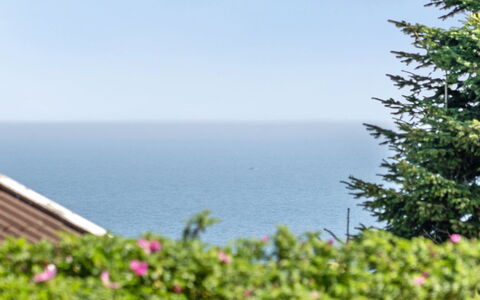 Jarmericus - 300M from the Sea: Himmel, Blå, Grøn, Horisont, Hav, Ocean, Kyst, Tropics, Evergreen
