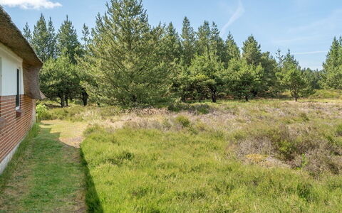 Hakun - 4Km from the Sea: Træ, Græs, Vegetationen, Busk, Græs-, Land Lot, Plantesamfund, Almindeligt, Bunddække