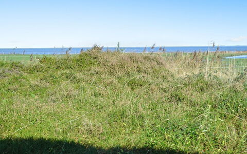 Asfrid - 3.5Km from the Sea: Blå, Himmel, Grøn, Græs, Græs-, Vegetationen, Sommer, Økoregion, Plantesamfund, Land Lot
