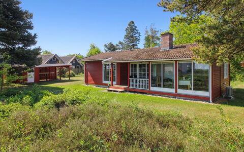 Asfrid - 3.5Km from the Sea: Plantesamfund, Sollys, Urteagtig Plante, Have, Plantation, Landbrug, Farm