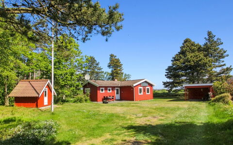 Asfrid - 3.5Km from the Sea: Plantesamfund, Sollys, Urteagtig Plante, Have, Plantation, Landbrug, Farm