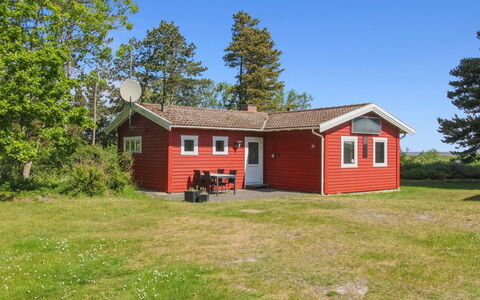 Asfrid - 3.5Km from the Sea: Plantesamfund, Sollys, Urteagtig Plante, Have, Plantation, Landbrug, Farm