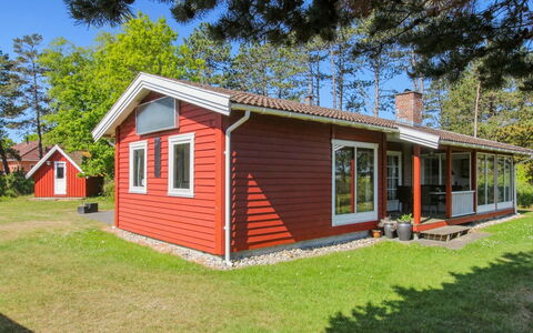 Asfrid - 3.5Km from the Sea: Plantesamfund, Sollys, Urteagtig Plante, Have, Plantation, Landbrug, Farm