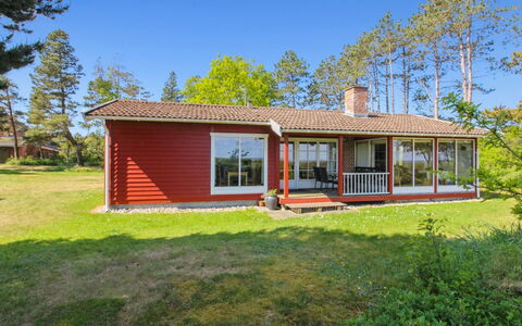 Asfrid - 3.5Km from the Sea: Plantesamfund, Sollys, Urteagtig Plante, Have, Plantation, Landbrug, Farm