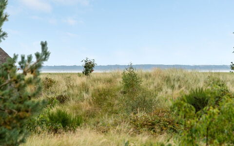 Merta: Himmel, Grøn, Græs, Naturligt Miljø, Vegetationen, Naturlige Landskab, Græs-, Økoregion, Sommer, Busk