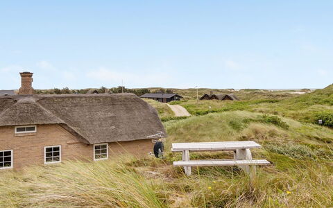 Stenkwith - from the Sea: Plantesamfund, Sollys, Urteagtig Plante, Have, Plantation, Landbrug, Farm