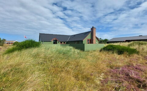 Rayne - from the Sea: Plantesamfund, Sollys, Urteagtig Plante, Have, Plantation, Landbrug, Farm