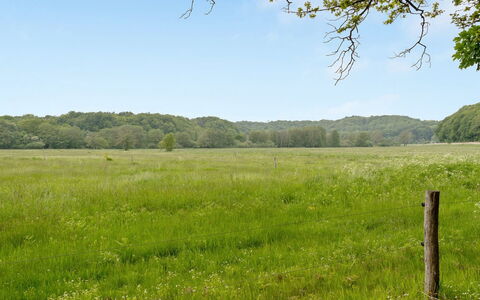 Rohan - 500M from the Sea: Grøn, Græs, Græs-, Træ, Naturligt Miljø, Naturlige Landskab, Vegetationen, Pasture, Almindeligt, Mark