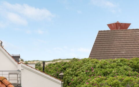 Riki - 150M from the Sea: Tag, Hus, Hjem, Sommerhus, Sidespor, Estate, Indkørsel, Garden Bygninger, Gård, Skur