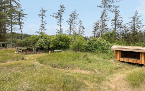 Jorek - 1.3Km from the Sea: Græs, Naturligt Miljø, Plantesamfund, Græs-, Land Lot, Økoregion, Landdistrikt, Skov