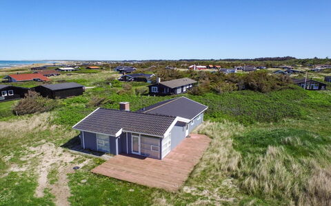 Gilbert - 96M from the Sea: Plantesamfund, Sollys, Urteagtig Plante, Have, Plantation, Landbrug, Farm