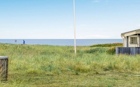 Gilbert - 96M from the Sea: Plantesamfund, Sollys, Urteagtig Plante, Have, Plantation, Landbrug, Farm