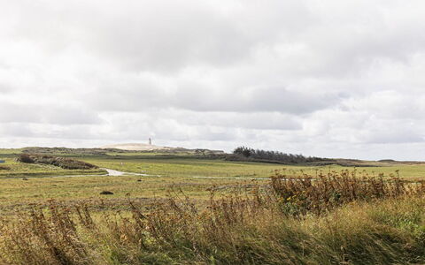 Volfgang - 250M from the Sea: Rød, Bordservice, Serveware, Drinkware, Tallerkner, Mad