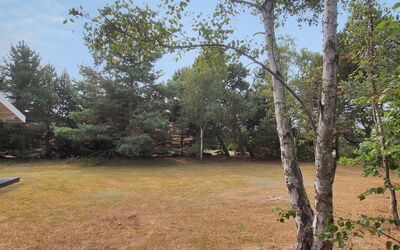 Aileen - 900M from the Sea