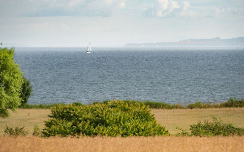 Edithe - 250M from the Sea: Himmel, Blå, Horisont, Vand, Daytime, Krop Af Vand, Sky, Økoregion, Græs-, Hav
