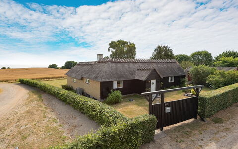 Edithe - 250M from the Sea: Hvid, Kort, Design