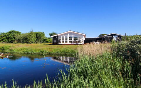 Allis - 400M from the Sea: 