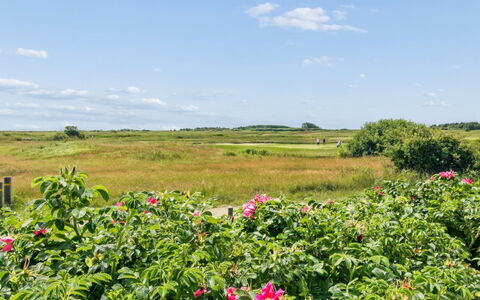 Tellervo - 2.4Km from the Sea: Himmel, Blomst, Sky, Busk, Plantesamfund, Bunddække, Blomstrende Plante, Eng, Plantation
