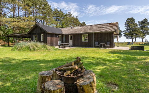 Elny - 500M to the Fjord: Plantesamfund, Sollys, Urteagtig Plante, Have, Plantation, Landbrug, Farm