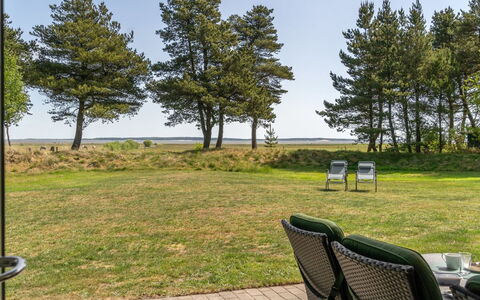 Elny - 500M to the Fjord: Plantesamfund, Sollys, Urteagtig Plante, Have, Plantation, Landbrug, Farm