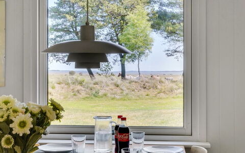 Elny - 500M to the Fjord: Plantesamfund, Sollys, Urteagtig Plante, Have, Plantation, Landbrug, Farm