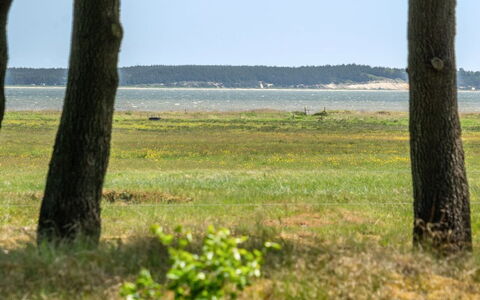 Elny - 500M to the Fjord: Plantesamfund, Sollys, Urteagtig Plante, Have, Plantation, Landbrug, Farm
