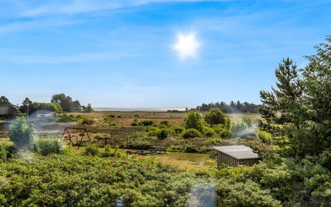 Thorben - 3.5Km from the Sea: Himmel, Blå, Grøn, Græs, Naturligt Miljø, Natur, Vegetationen, Naturlige Landskab, Græs-