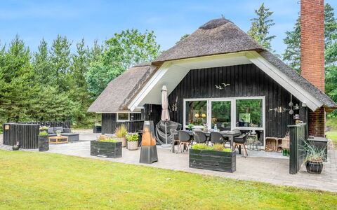 Arttu - 2.4Km from the Sea: Plantesamfund, Sollys, Urteagtig Plante, Have, Plantation, Landbrug, Farm
