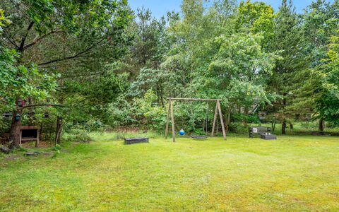 Arttu - 2.4Km from the Sea: Plantesamfund, Sollys, Urteagtig Plante, Have, Plantation, Landbrug, Farm