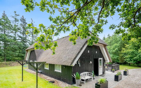 Arttu - 2.4Km from the Sea: Plantesamfund, Sollys, Urteagtig Plante, Have, Plantation, Landbrug, Farm