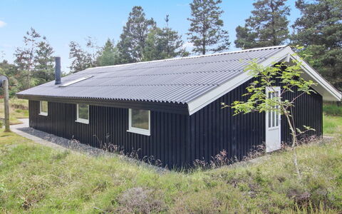 Cajsa - 1.5Km from the Sea: Tag, Hus, Hjem, Sommerhus, Dør, Sidespor, Dæk, Veranda, Planke, Hårdttræ