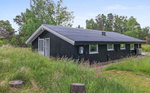 Cajsa - 1.5Km from the Sea: Tag, Hus, Hjem, Sommerhus, Dør, Sidespor, Dæk, Veranda, Planke, Hårdttræ