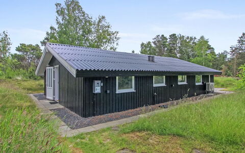 Cajsa - 1.5Km from the Sea: Tag, Hus, Hjem, Sommerhus, Dør, Sidespor, Dæk, Veranda, Planke, Hårdttræ