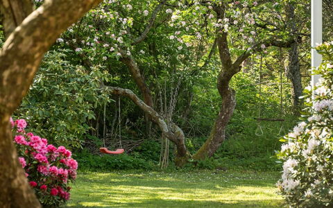 Iiro - 2.5Km from the Sea